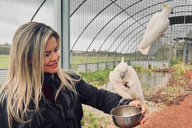 TASTE OF THE WHEATBELT private day tour to New Norcia and beyond. - What Reviewers Say About the Tour