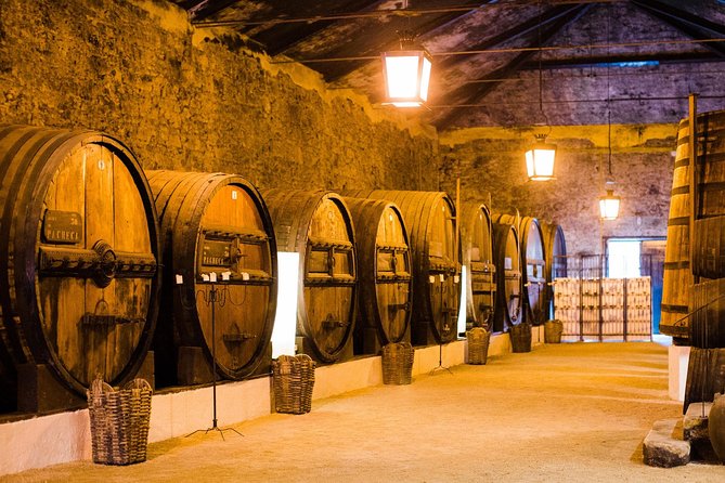 Taste the Douro - Vintage Experience - Pricing and Booking Information