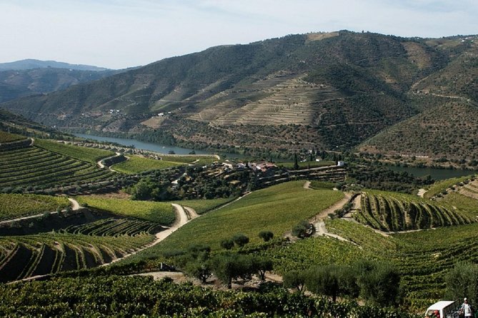 Taste the Douro - Vintage Experience - Meeting and Pickup Details