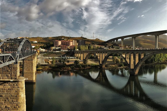 Taste the Douro - Vintage Experience - What to Expect on the Vintage Experience