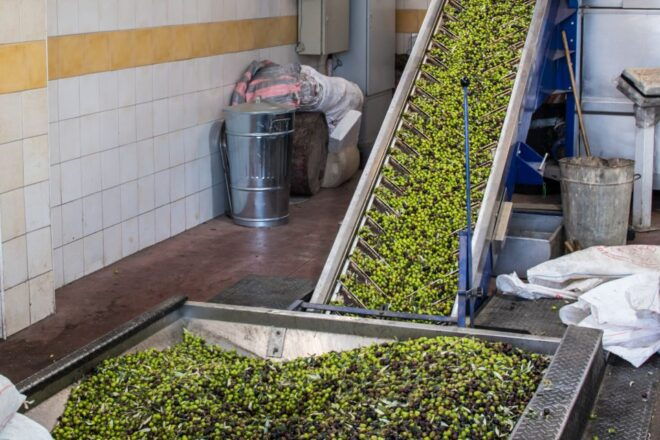 Taste the Local Products and Culinary Treasures of Corfu. - Kumquat Distillery Visit