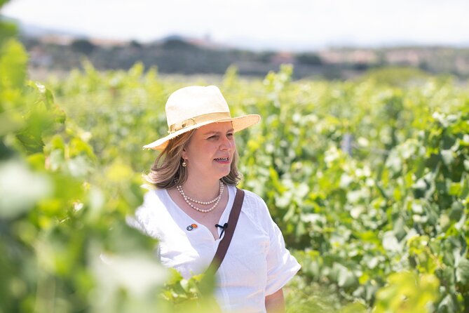 Taste the Most Popular Greek Wines! - Famous Wine Regions in Greece