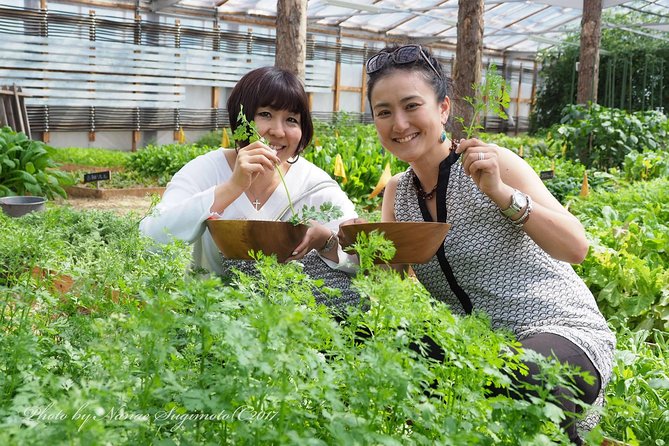 -Taste the Seasonal Taste of Karuizawa-Karuizawa Gourmet Farm Pottering - Exploring Karuizawas Culinary Delights