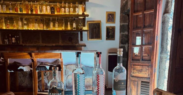 Taste the Spirits of Mexico Through Its Agave Distillates - Good To Know