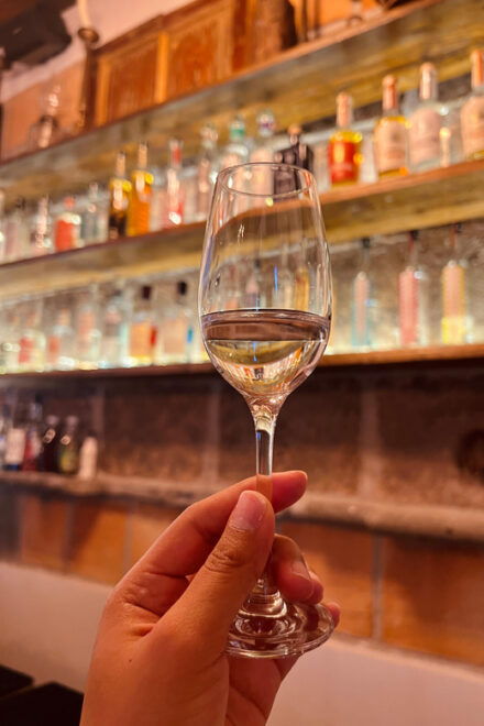 Taste the Spirits of Mexico Through Its Agave Distillates - Guided Tour Highlights