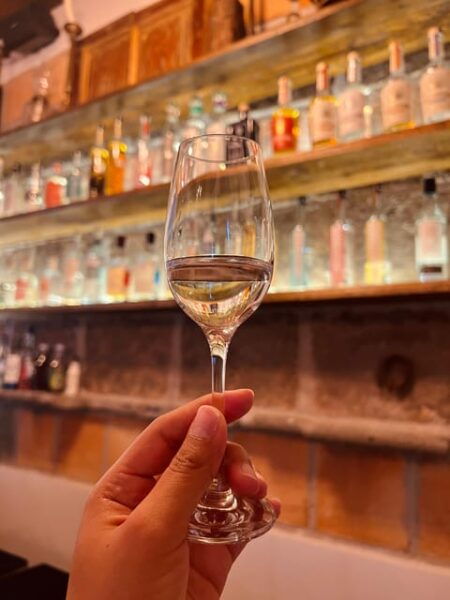 Taste the Spirits of Mexico Through Its Agave Distillates - Frequently Asked Questions