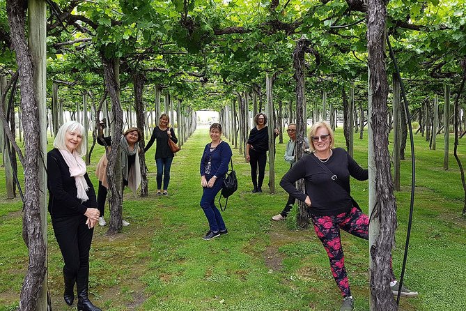 Taste the Valley Wine Tour in Marlborough With Wine Tasting - The Sum Up