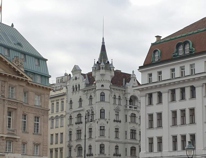 Taste the Vegan Side of Vienna With a Local - Experience Highlights
