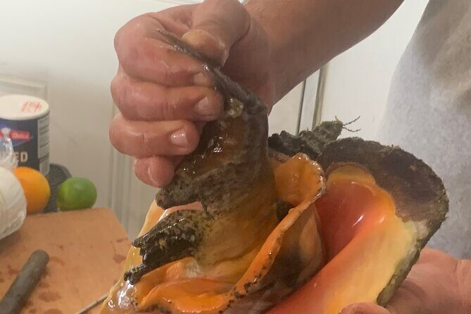 Taste Tour and Capture Nassau Island Experience with Photos - Good To Know