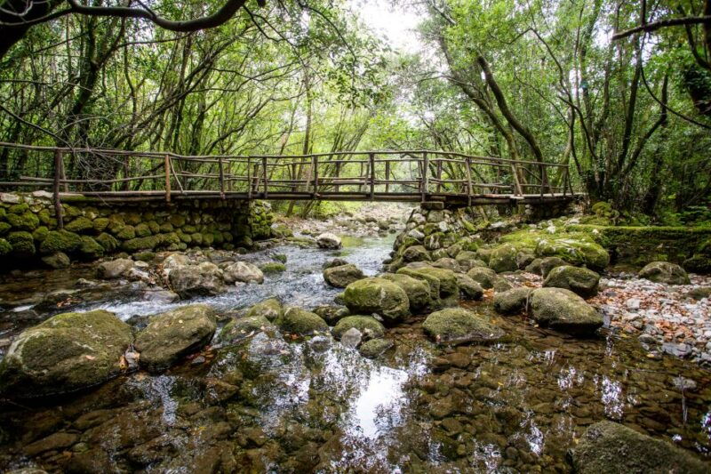 Taste & Tradition of Dubrovnik Countryside - Why This Tour Stands Out
