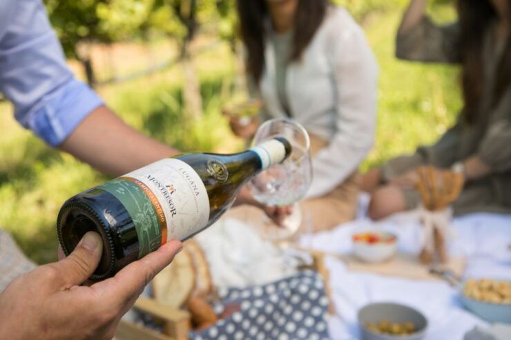 Taste With Us Bardolino, Chiaretto and Lugana Near Verona - Activity Details