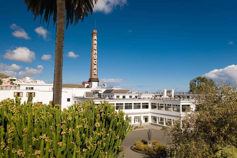 Tastes of Gran Canaria A Day of Flavours and Culture - What to Expect Throughout the Day