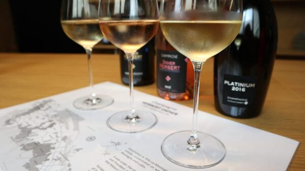 Tasting 3 Champagnes - Tips for an Enjoyable Experience
