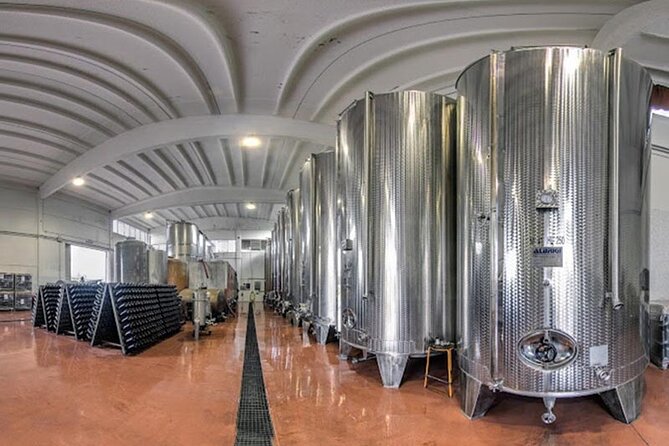 Tasting Activity of Barrel Aged-Wines in Valeggio - Activities
