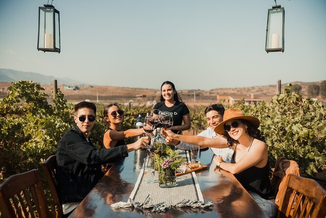 Tasting and Tour Through the Vineyard - Accessibility Information
