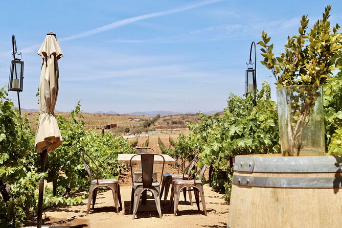 Tasting and Tour Through the Vineyard - Price and Terms & Conditions