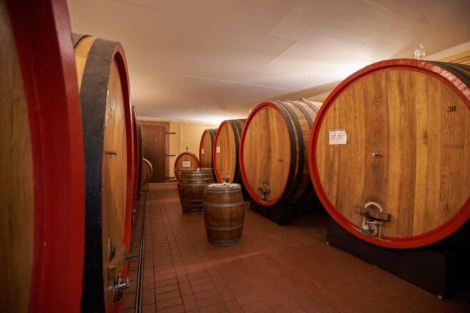 Tasting and Tour Vino Nobile Di Montepulciano - Experience Itinerary