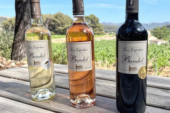 Tasting Bandol Wines & Visit of Cellar (in English) - The Sum Up