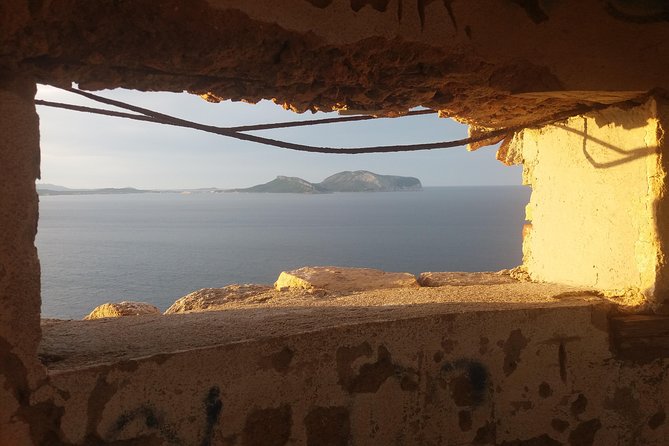 Tasting & Hiking Panoramic Experience - Panoramic Views of Breathtaking Landscapes
