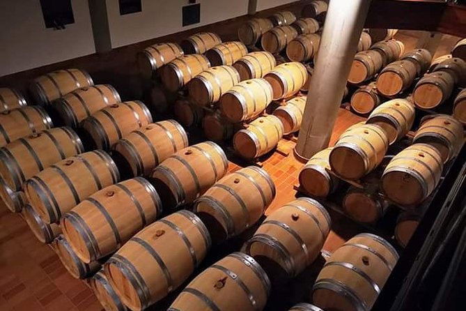 Tasting in a Cellar in Marsala and Tour of the Mothia Lagoon - Cancellation Policy