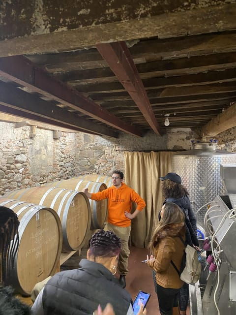 Tasting in a Tuscan Vineyard With Transfer From Lucca - Vineyard Walk and Cellar Visit