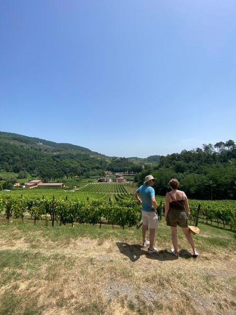 Tasting in a Tuscan Vineyard With Transfer From Lucca - Frequently Asked Questions