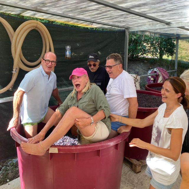 Tasting in a Vineyard With Transfer From Lucca - Organic Wine Tasting Details