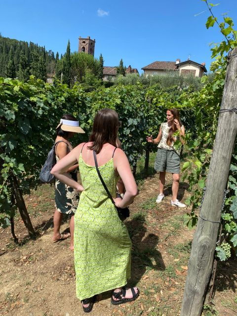 Tasting in a Vineyard With Transfer From Lucca - Customer Review and Feedback