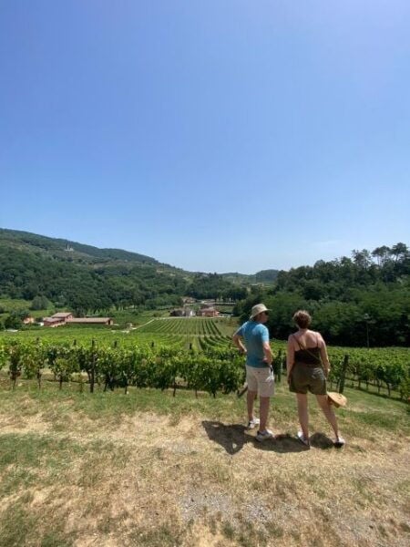 Tasting in a Vineyard With Transfer From Lucca - Frequently Asked Questions