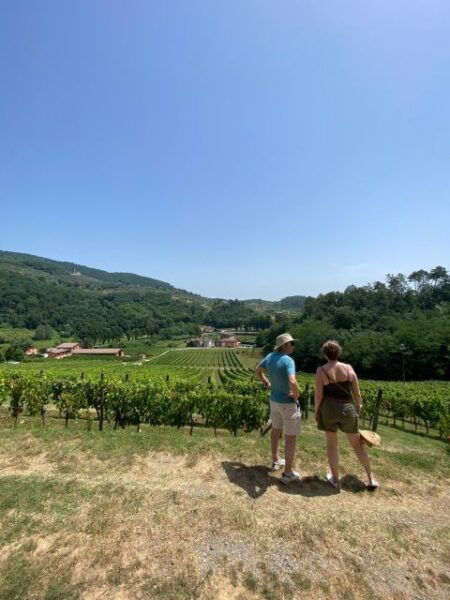 Tasting in a Vineyard With Transfer From Pisa - Pickup Locations