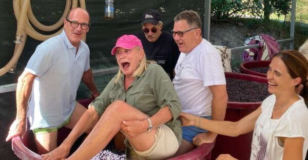 Tasting in a Vineyard With Transfer From Pisa - Directions