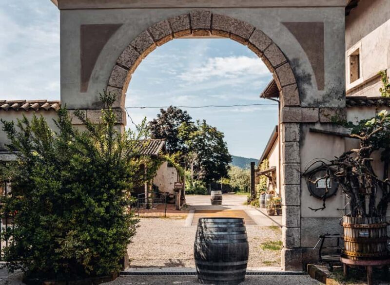 Tasting in the cellar, Caprino Veronese, Pesina - Good To Know