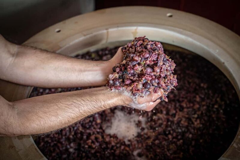 Tasting in the cellar, Caprino Veronese, Pesina - Who Should Consider This Tour?