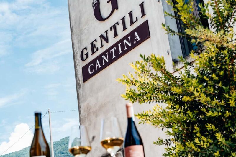 Tasting in the cellar, in Caprino Veronese, Pesina. - A detailed look at the wine tasting experience