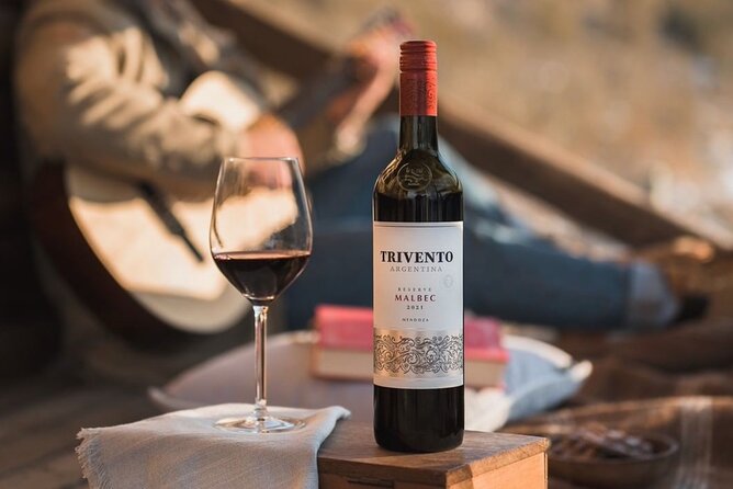 Tasting in Two Wineries Full Lunch. Transfer Included - Tour Highlights