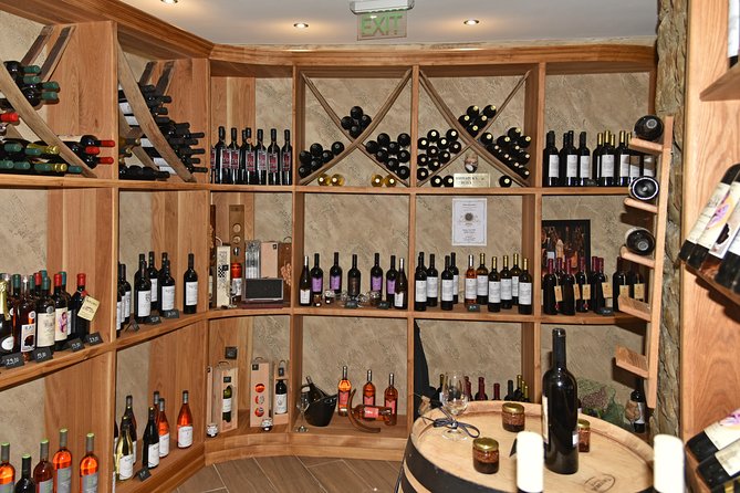 Tasting of 3 Wines + Special Selection of Appetisers - Starter Appetizers