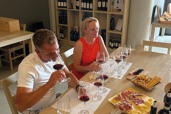 Tasting of 4 Organic Wines on Valpolicella Classica Hills - Wine Selection