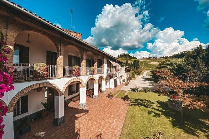 Tasting of 7 wines in the Langhe and visit to the cellar - The Value and Practicalities