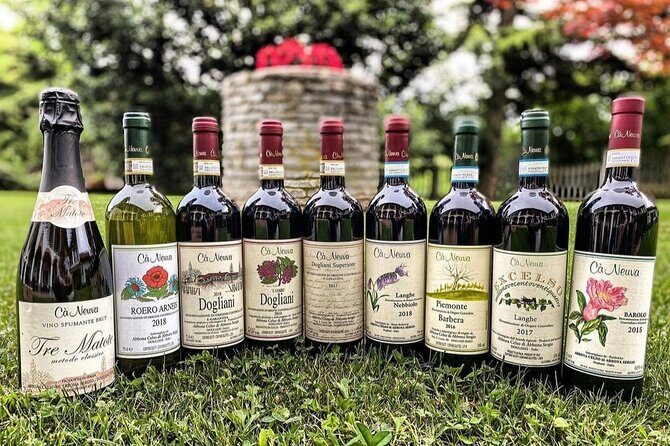 Tasting of 7 wines in the Langhe and visit to the cellar - Who Should Consider This Tour?