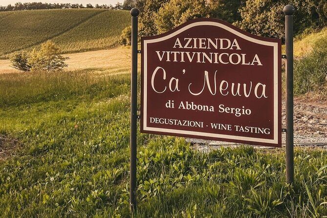 Tasting of 7 wines in the Langhe and visit to the cellar - The Sum Up