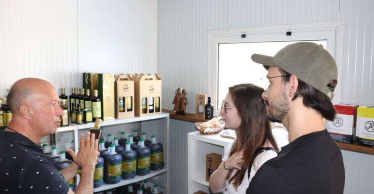 Tasting of Alentejo Olive Oil Unique Experience - Booking Information and Details