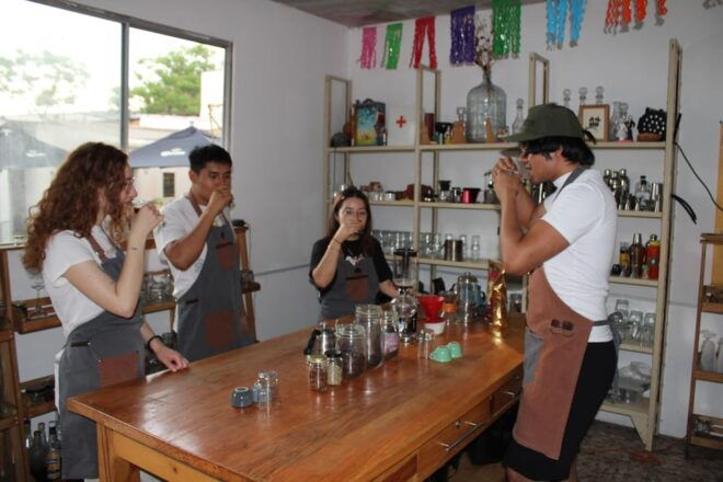 Tasting of Oaxacan Coffees - Variety of Extraction Techniques