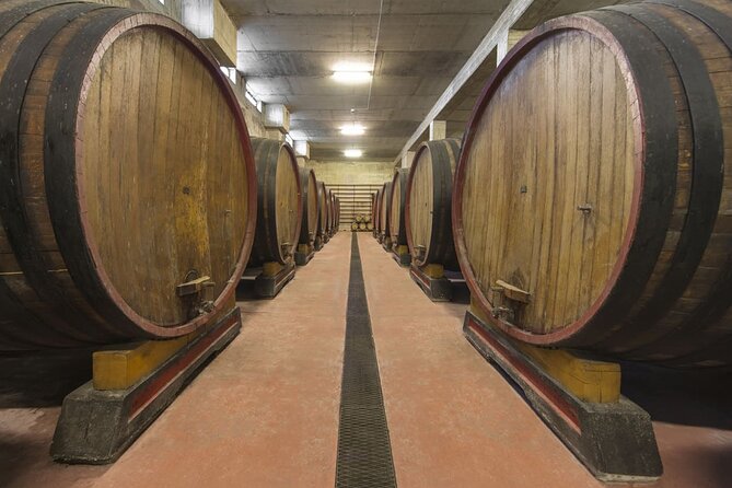 Tasting of Rosso Piceno DOC Superiore - Villa Pigna Cellar - Villa Pigna Cellar Location Information