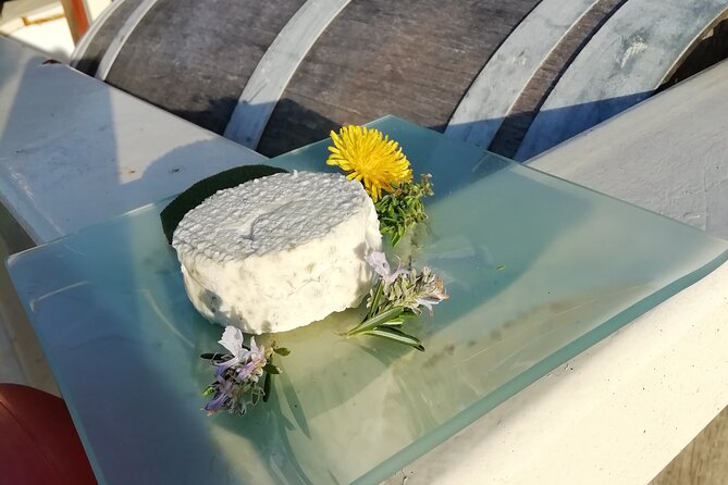 Tasting of Seaweed Cheeses - The Sum Up