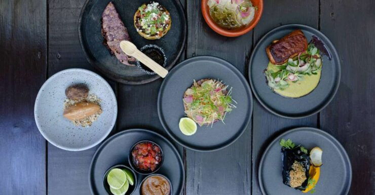 Tasting of the Menu. 5-Step Experience. - Participant Selection and Booking