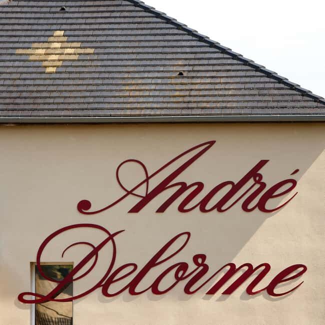 Tasting: Sparkling Discovery - Final Thoughts