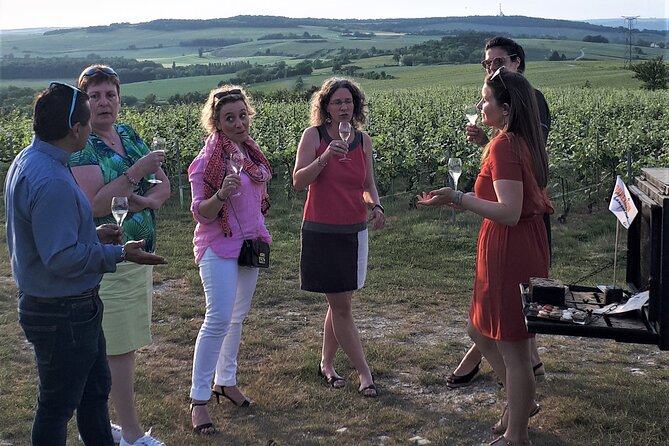 Tasting Walk Visit to the Winegrower or Champagne House - Additional Information