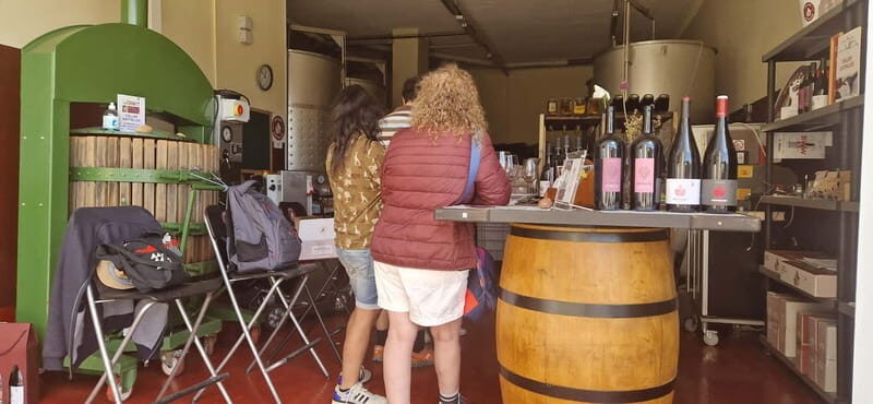 tasting wines in the vineyards with hotel pickup hotel - Good To Know