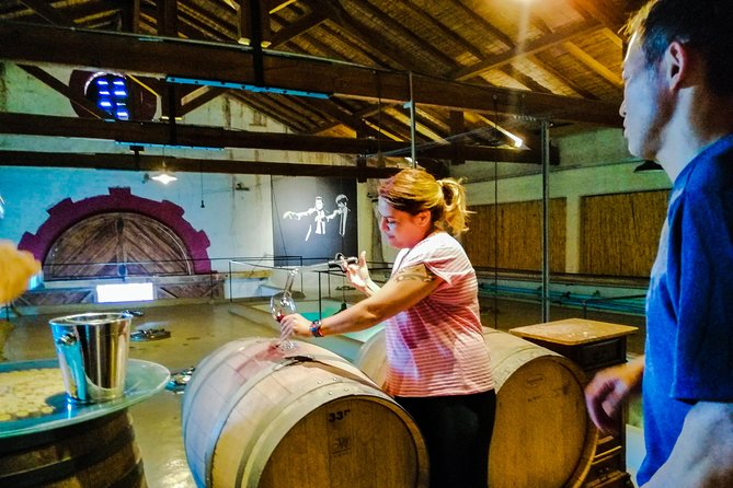 Tastings and Lunch in Maipú! One of the Oldest Regions of Mendoza - Maipú Region Overview