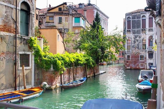 Tasty Street Food Tour of Venice City Center With Cicchetti & Local Specialties - Cancellation Policy and Reviews